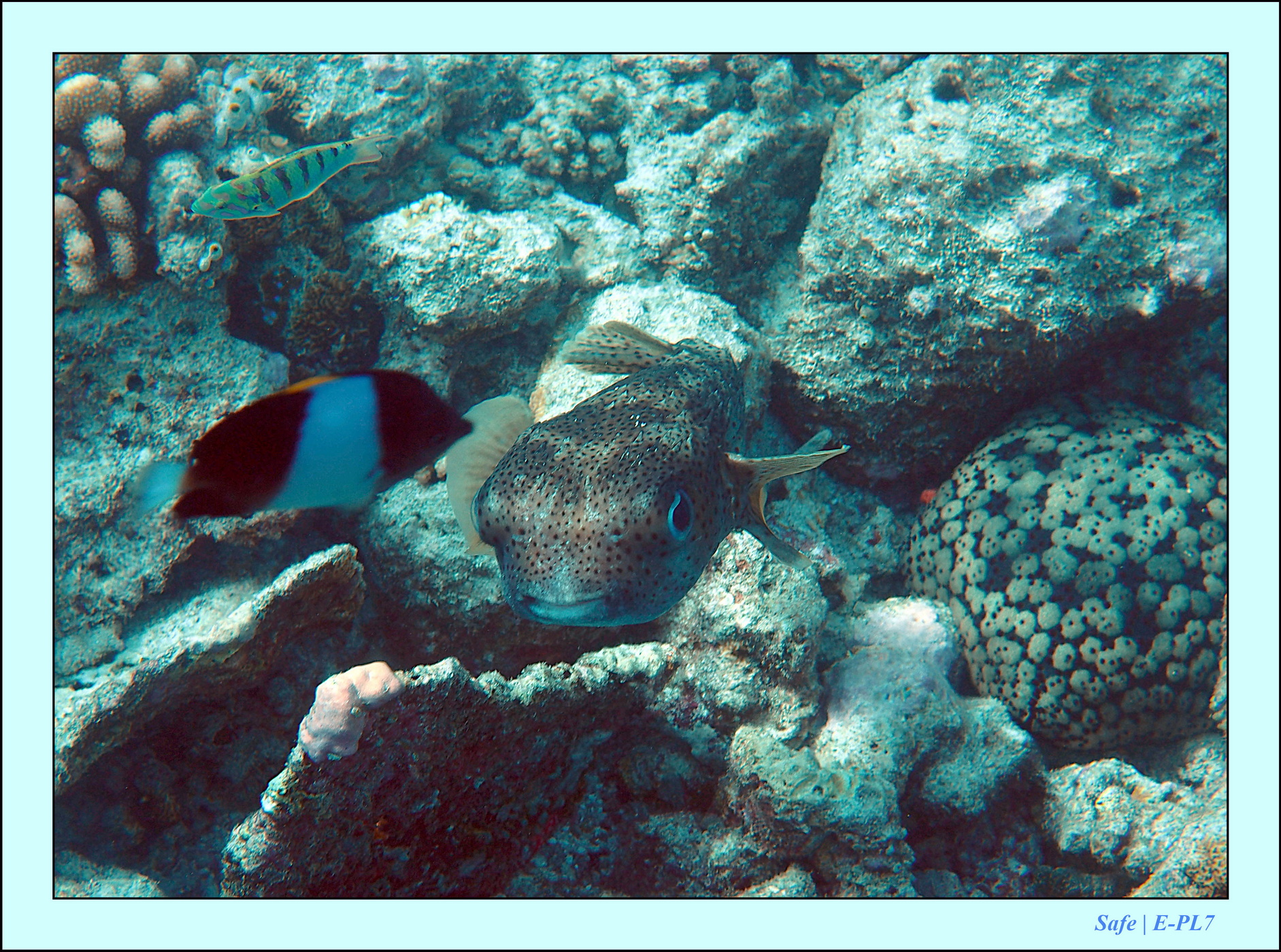 2023 - 07 - Sandies Bathala - 144